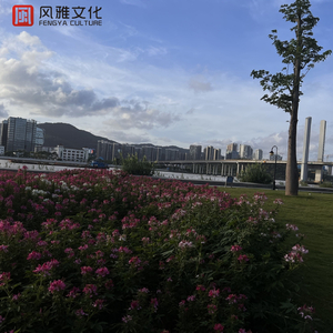 三级黄色片网站
